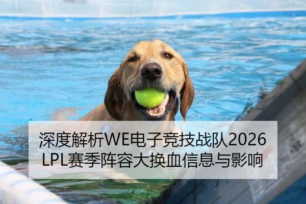 深度解析WE电子竞技战队2026LPL赛季阵容大换血信息与影响