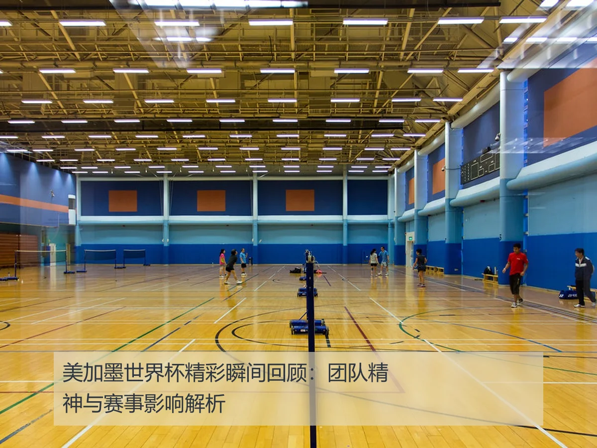 美加墨世界杯精彩瞬间回顾：团队精神与赛事影响解析